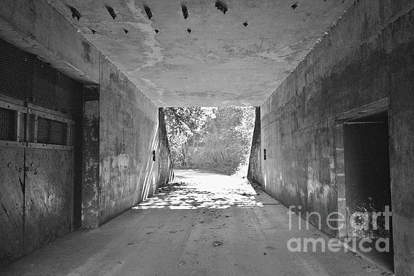Tunnel Vision by Jeni Gray Tunnel Vision by Jeni Gray